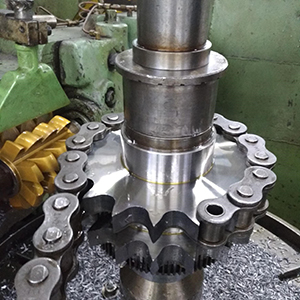 Engrenagem de Corrente Dupla